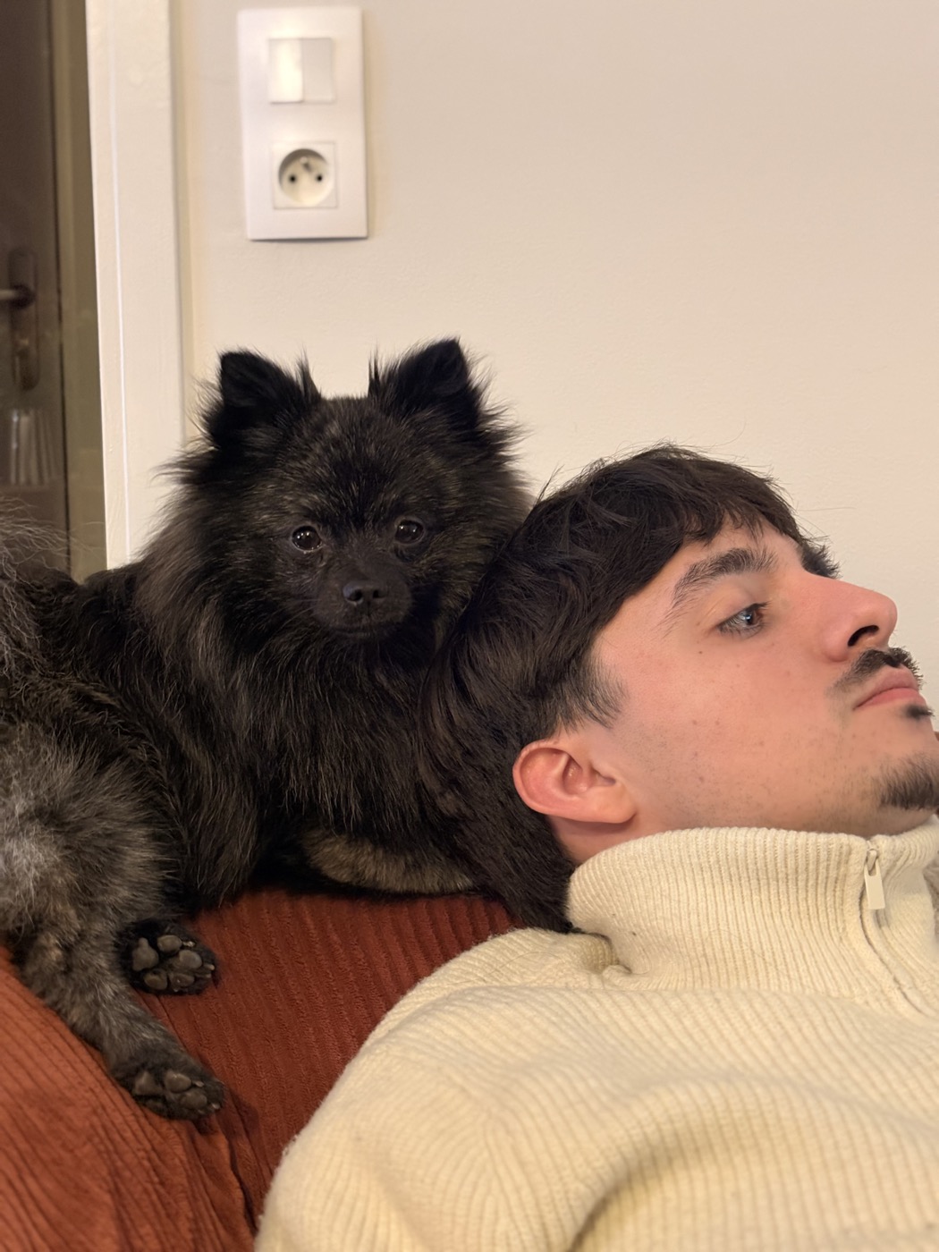 Mon chien